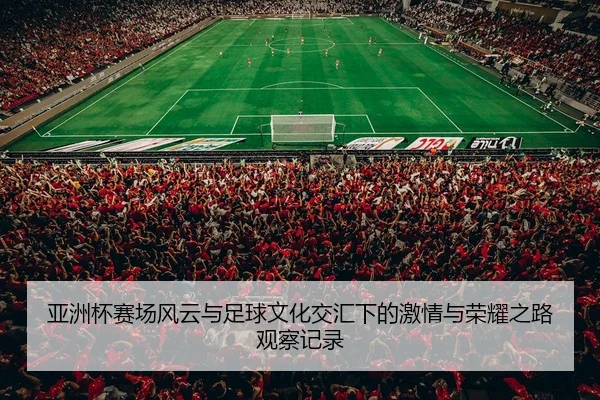 亚洲杯赛场风云与足球文化交汇下的激情与荣耀之路观察记录