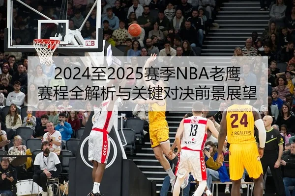 2024至2025赛季NBA老鹰赛程全解析与关键对决前景展望